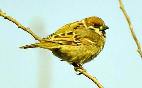 �茑��ȸ�ă�(y��u)�����ģ�ͨ��28ƪ��