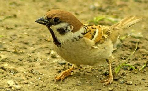 �����W(xu��)����(y��u)�����ģ���ȸ�ְ�