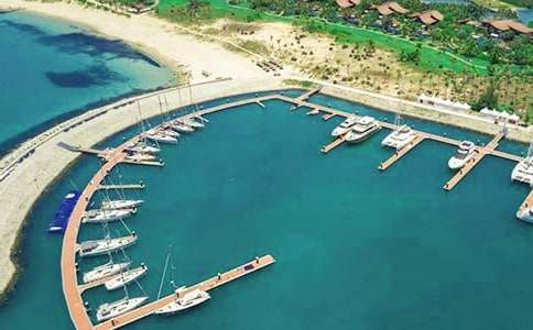 碼頭作文500字4篇