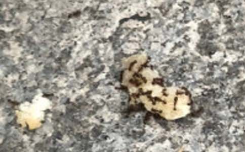 Λρ����ӛ���꼉��������500�֣����x22ƪ��