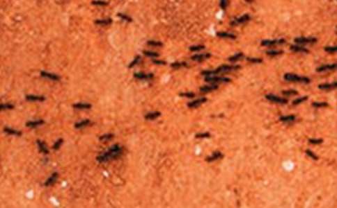 ��Λρ���̌W(xu��)�O(sh��)Ӌ