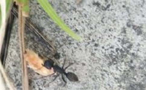 �P���ڄڵ�Λρ���ģ����x54ƪ��