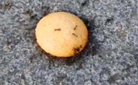 ��Λρ?zh��n)��?ƪ