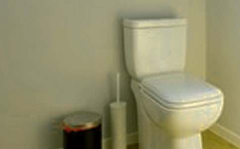 把馬桶洗得能裝干凈水作文