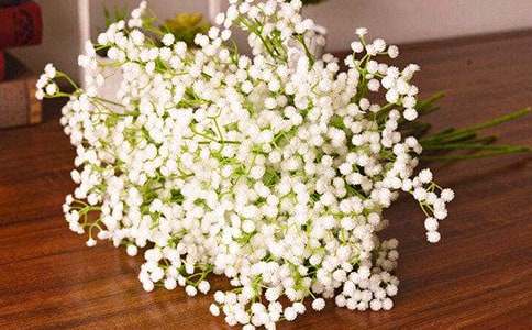 滿天星的作文300字