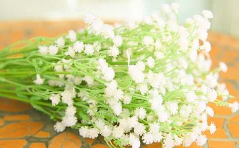 ٝ���M���ǵ����ġ����