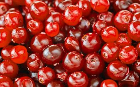 ��Խݮ�ĠI�B(y��ng)�r(ji��)ֵ�cʳ�ù�Ч