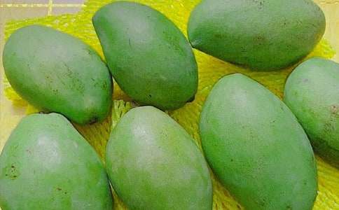 �Ґ۹��l(xi��ng)��â������300�֣����x19ƪ��