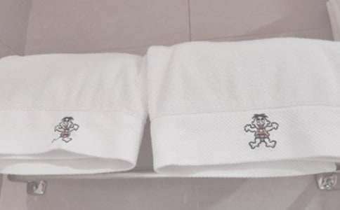 毛巾旅行記_作文