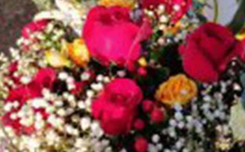 ��õ�廨���}������7ƪ