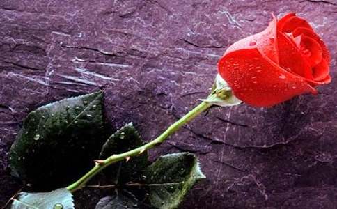 �茑õ�廨������200�֣����x21ƪ��