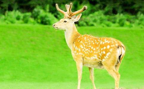 Ԣ�Թ��£�����÷��¹