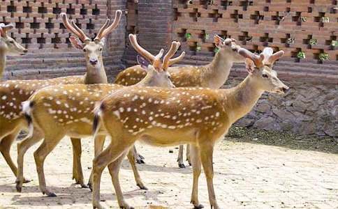 ÷��¹������15ƪ