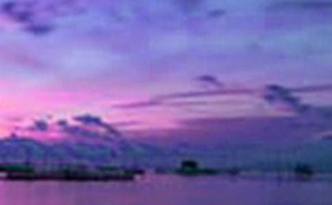 ���B����������