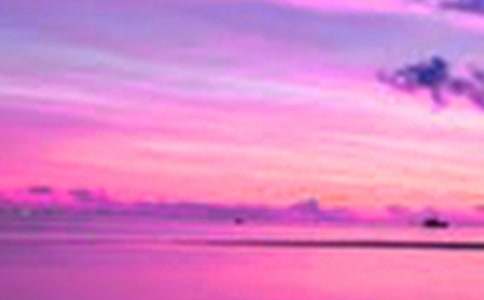 �_�����������