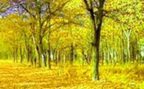 ��?zh��)��ٲ����������?/></p><p><strong>����һ�����Ĺ������J��W��</strong></p><p>�����ڌW�����g�����J��������ӖҪ�󣬇���Ҫ���Լ����޲��Լ����e�O���ӵ����˺ܶ����P�Ĺ�������W��������Փ�����S�ùPӛ�� �����n�����ɡ�߬���̌W��˼�����cՓ����������ِ����x����ȵ����S���n�������о���׌������ҕ�ҵČW�����ҵ���������̎����\�Đ۸���Ӱ�����Ⱦ�����oÿһ���W�����@�ݐە��a(ch��n)���޴����������׌�ɺԵ����`����ȱ����¶��׌��������Ӳ���ȱ��ꖹ����W�����g��ʹ�Ҹ�����̵��J�R����һ���F(xi��n)���ĺ��ώ��������Ǯ�ǰ�n���µĺ��ώ���һ�������׵�����</p><p><strong>�������������S������ʽ����</strong></p><p>������Ӗ���g���҅��c���傀ģ�K�ČW����ÿ��ģ�K�ﶼ�Ќ��ҽ���������Փ������v�����������ٵ�Փ������ǵ��^�c���b�ܵ�˼�S����ĬԜ�C���Z�����o��͸¶������L����߀�Ѓ�(y��u)��̎����n����׌�Ҹ�ֱ�^�ČW����վ�ڵ�һ���̎����е���ò�ͷ�����ʹ�ҏ��^���ϡ���Փ֪�Rˮƽ�Ϻͽ̌W�����c�����϶������µ��J�R�c�������ĳЩ���������|���M����</p><p><strong>���������ڌW���н���</strong></p><p>�����ҷǳ���ϧ�@һ�ε���Ӗ�C����Ҳ���x�I���o�҂�ƫ�h�̎��ṩ��һ���@�ӵČW����ʽ��׌�҂����ڼ���Ϳ��ԌW����λ���ں��������µĽ�����������Ӗ���ҌW���˺ܶ��Լ�Ƿȱ��֪�R���@�����н����̌W�����'֪�R��߀�Ў����g��ͨ�ļ��ܼ��ɵ���ͬ�r�ǳ����x��λ���ڡ���λ�ώ����ڵĸ�������������������ڸ������������ҵ������ͨ�^�@����Ӗ���Ҍ��������˸�����J�R���ڽ�����������̌W�У��ҕ��Y�ό��H���\���@����W���ЌW���Č��F֪�R���M�������ώ��̵ķ����M�н̌W��ͬ�r߀Ҫ����؄�(chu��ng)����ʹ��У�������̌W��һ���µ��_�A��</p><p>�����ڌW���У�Ҳ�Y�R�˺ܶ����I(y��)�ϵĻ�����҂�Ҳ�M���˺ܶ���ͨ�������ґc���Լ������@�ΙC������Ҳ�ܺõذ������@�ΙC�������ի@֪�R��ͬ�r��Ҳ�ի@�����F�����x��</p><p>������֮���@����Ӗ�����Ҍ��кܴ�Ď������и������л؈����й������п옷�����Ժ�Ĺ������ҕ������@����Ŭ���W�����M�M؟���Ϲ��M�ᣬ���ҹ����������̵ĵ�·�ϣ���ʹ�������L��������Ҳ�����G�ؼ���̤��ǰ����</p><h2>�����W�����Y����2</h2>
<p>���������������҅����ˡ�����Ӌ�����������Ӗ���g���c�c�εΣ��v�^������Ӗ��Ӱ��������аl(f��)����ʡ�������ǻ۵Č��}�v����ӑՓ�������^Ħ��ӑ�������u����Փ��׫������Փ��Ӗ��Ҳ���^Ħ�n�����w������L�ɵČ��`呟���һ�Εr�g����Ӗ�W����׌�����½�����һ��ϵ�y(t��ng)����Փ�͌��`�����ęC�������Ҽ����^���ϵ�ϴ�Y��Ҳ����Փ�ϵ����;����֪�R�ϵķe����Ҳ�н̌W���м�ˇ�����L���������ҵ��w����</p><p>����������ͨ�^�@���������Լ��Mһ�����_�˽̎����I(y��)�����L���̎����˳��L������</p><p>�����Լ��ڽ̌W�ж���Щ��˼���҂��ܶ��r�򿼑]���}�ĕr�����f�W���Ķ࣬�����܉���������l(f��)���������Լ���������Щʲô����Щ߀��Ҫ���M�ȵ����ڽ����@�K�����н̎����I(y��)�����̎������Q��������Ҳ�S�B(t��i)�țQ��һ�о�����˰�����Ŭ���ьW������Փ֪�R�D���錍�`���ܣ�ʹ֮��Ч��ָ��ƽ�r�Ľ̌W�����������n�����M�������µľ����OӋ����ָ���ҵĽ̌W���ڲ��࿂�Ļ��A�����°l(f��)�F(xi��n)��������ĵ�ѭ�h(hu��n)���ͣ��������Ӗ����n���о�׌�ҏ�������׃�ø������ġ�ͬ�r���ҌW����׃�Q�ǶȌ�ҕ�Լ��Ľ����̌W������������������I�������෴˼���{���ҵĽ����^�������@�N�Qλ˼����׌�ҌW�������ΌW����������ظ��ܵ����Ύ������@ϲ��������</p><p>������������҂����v�������ݼ���̪�����ͨ���׶��������������־o�����}���Ȱl(f��)����ʡ��������Ȥ��</p><p>����������С�W������ǰ�����I��׌�˶�Ŀһ��������������׌�ҽ�(j��ng)�v��һ��˼���ϴ�Y��������һ�D�Sʢ�ľ��������������v���鮔ǰ���Z��ָ���˷�����Ӗ�ă��ݶ��Ǯ�ǰ���Pע�ğ��c���y�c���}��̌W�OӋ���n�ý̌W����������u�n���̎��Č��I(y��)���L��У�����޵ȵ��������n�ý̌W���̎��Č��I(y��)���L�оo��(li��n)ϵ��ᘌ����������Ժ܏������Ќ��Ãrֵ��</p><p>�����������ҷǳ��J��� �������ώ��Ĉ�棬�J�����x���Pӛ��������Ҫ��'����ӛ�ڹPӛ�����I��������䌍�ڽ̌W���`����</p><p>�����P�ڎ��µ��v����ͨ�^�W�����Ҹ����J�R���r�ڑ�ԓ���������ܳɞ�һ�������ĺ��ώ�����Ŭ������������I(y��)�������B(y��ng)��Ŭ�������Լ��Č��I(y��)���|���ۍ�λ���یW�����۽������ѽ����I(y��)�����Լ�������׷�����e�O̽��������һ��ĬĬ�o�ĸ���������ǰ�ڽ̲ĵ�̎�������Ұl(f��)�X�Լ���ǰ߀�H�Hͣ���ڱ���ϣ�����ֻ���ڽ̲̽���߀�кܶ�Ė|���]�������о�͸��ͨ�^�W�������ܵ��ˆ��l(f��)�����̌W�r�ؕ������о�͸�̲ģ������|���������ھ򣬸�������(zh��n)��Ҏ(gu��)�����ҽ̌W�Е��̽o�W��˼�����}�ķ�����׌�W���W��˼������������(zh��n)����ä������������</p><p>���������һϵ�аl(f��)�N�����N���W(w��ng)�ϴ��ɵĻ���������˽⵽�����n�̵ĺܶ����������·��������ҵ��|�Ӻܴ������ѽ�(j��ng)��ͬ�ʂ����������õĽ�(j��ng)��\����ƽ�r�Ľ����̌W֮���������S�r�M�з�˼�Ϳ���</p><p>����ͬ�r������Ҍ�Ŭ��������</p><p>����1�����@�����ӌW���Ľ�����ՓͶ�뵽���`�̌W��ȥ�������������ώ���Ŭ����</p><p>����2���ӏ��W�������^�m(x��)�W�����Ȿ�ΌW����Ӗ��������߀Ҫ���x���s־���e�O׫������Փ�������������ͽ̌W��˼�����K��W���ı�������ȡ����CN�����ϰl(f��)����Ʒ��</p><p>����3���J�������n�}�о����D׃�^����̽�����n�̸ĸ��еġ����c�����c����</p><p>����4���ӏ��c������ͬ�еĽ�����׌�ǻ���ײ��׌�����ࡱ���µġ��N�ӡ��������l(f��)ѿ���Y����</p><p>������֮������o����һ���O�õČW���C����׌�ҏ��ЌW���˺ܶ࣬Ҳ���a������ǰ�J�R�ϵĲ��㣬׌����һ�κ͌����ώ����V��ͬ�ʌW�������ęC����ͬ�rҲ���M���ҵĽ����̌W�����ҵČ��I(y��)���L�к܏���ָ���������ҕ��ԇ����W�������C��Ŭ�������Լ�����Ӗ�mȻ�̕��������ҏć������ի@�ܶ���ʹ�Ҳ������������䌍���Ҍ������ի@������������������������Mǻ���飬�ڽ��Ľ̌W�У��^�m(x��)�W�������̌W��Փ֪�R�����෴˼�Լ��Ľ̌W�О��������Լ��Ľ�������e�O�D׃�����^��������һ���ϸ�������̎���</p><h2>�����W�����Y����3</h2>
<p>����ͨ�^�@�Δ�(sh��)�W�����W���Ŀ����Ӗ��ʹ���ڽ����̌W�����Ͻ�����һ����̵�ϴ�Y��׌���ЙC���ٴ΁��䌍�������Լ������@����Ӗ���^���������� �˶�λ�������ҵ���������������ʵ��v��������������ĘI(y��)��ˮƽ�͘I(y��)��֪�R��ͬ�r��Ҳ����ĸе��������ڵĲ������қQ����Ʒ���W�����Y�������Ѵ˴���Ӗ�����W���������ڬF(xi��n)���̌W��������ՄՄ���@�ΌW�����ի@��</p><p>��������Ӗ�У��oՓ��ÿһ�� �n�W����߀�ǽ̎����n�ý̌Wչʾ����׌�Ҹ��������n������ĺ��L����ԡ�����n�̸ĸ��ꖹ����Ү�����ϧ�@�ΌW���C�����������?y��u)����ṩ�ˌ��F�Ľ̌W�������YԴ��׌�ҏ��������l(f��)���Ҳ�������͵���ĥ�͌���������ط�˼�Ϳ��Y�����ҁ��f����Փ�Ǐ���Փ߀�ǽ̌W�����@����һ��׌���M���������r�C���ڽ����^��������Ҳ�ܷe�O���c������ӑՓ���� �����������Լ����ĵ�����ÿ�εČW�������ҵĽ̌W����ͽ̌Wˇ�g�ѵõ���һ�ΰl(f��)չ��׌�Ҍ������̌W�ֳ�M�����ĺ�ϣ��.��ǰ�Ľ̌W���҂��׺����Ǐ��й�ݔ���n�������������ώ��ڳ����Ǒ������܌W���Пo�dȤ���԰���f�Ľ̌W�ֶμ�˼��������W�����ӽ��܌W���������n�õĺ��ġ��M�������W����횸����ҵ��_�����������n�����_ָ�����̎����n���еĽ�ɫҪ�l(f��)�������Ե�׃������ָ�����D׃?y��u)�M���������c�ߺͺ���������̌W�Y��Ҳ�l(f��)������׃��������(chu��ng)�O�c�W�������������P���龳���l(f��)�W������֪����ʹ�W���ɱ��ӌW׃?y��u)���Ҫ�W������W;�����W���M������̽���W����׌�W���������̽���������������Լ��l(f��)�F(xi��n)���}���w�{����Q���}�ķ�����Ҏ(gu��)������֮��Ҫ��һ���n��׌�W���w������̌W�^�������F(xi��n)�n�ý̌W�����SĿ����</p><p>�����о���Ԓ�������ĄӲ����Є����H�R���@Щ�����̌W���҂��ľ��ʂ������W�T��˽������ҽ���ӑՓ������̹���ի@���S�����X���Լ��ڽ��Ľ����̌W���`�У��ڌ�������������ּ�J�R����(sh��)�W�̎���ؓ��'����؟�Ρ����n�������̽���c˼������(sh��)�W�n�ý̌W��ģʽ���`�������n�}������c���`���������C�Pϵ�ąf(xi��)�{����ԓ�и��ߵ�׷����</p><p><strong>����һ������˽̎��������B(y��ng)ˮ��</strong></p><p>�����@�·���������׌�Ҹ��򵽵ľ��ǌW�ߞ鎟�������鷶���W�oֹ�������B����һ���ϸ�Ľ̎������Ҫ�Ў�����ֻ�П�۽����I(y��)������Ϟ�T�����Q���񣬲�Ӌ�^�����������ſ�����һ�w��یW�����擴���ġ��ӏ��������B(y��ng)���ŕ���ʹ�҂��ڽ����̌W���`��Ŭ���W������߽̌Wˮƽ���ڽ����̌W���ҵ���������õذ��ս���Ҏ(gu��)�����������������µ؎�����ÿһ���W�����@�ε���Ӗ�W����׌�������е������ǳ�M�ǻ۵��I(y��)��������R���Լ���ؓ��؟��֮�ش�.�����ܶ�ͬ�W�����Č��F��(j��ng)򞣬׌�Ҳ���W���˽̌W���о��ı��I��߀�W����������˞鎟��Ը�����@һ��ɫ�����سɞ��ҽ����̌W�����°���������c��</p><p><strong>�������������˽����̌W����</strong></p><p>��������һ��С�W�̎������^������҂�̤���Ĺ������L����һζ�����^������@�c�r���M�ĕr���s׌�Ҹе����Ի����治���˽̌W��·ǰ�M�ķ������؄e���S�����n�̸ĸ�Ŀv��l(f��)չ���ܶ�����̌W�е���ӴΆ��}����ر�¶�����X���Լ��ڽ̌W�����ڵظ������@ô�࣬���ǬF(xi��n)�ڵĺ�����ô���@ô�y����?���������ӂ��ܴ���M����������ҹ���������@�·���ČW����׌�������c����һ�K���������_�˕r���ڲ����M��������ڲ�ͣǰ�M��ͬ���������̌W����Ҳ���c�r���M�������҂��˶������@����Ӗ�o����һ�����r�������H׌�ҵõ�����Փ��ָʾ�c���ҵ����I��߀����ô�������n���еĽ��c�W�ķN�N�Pϵ���˺ܴ�Ď���������׌���˽⵽�����M�Ľ����ƌW������Փ���F(xi��n)�������^���W���^�͌W���^���ڽ̌W�������ѭ���^Ҏ(gu��)�����{�������Ľ�ɫ�ͽ̌W��ʽ�������|����؞�����W�ƽ̌W�^�����������̌W����ĸ���ʹ�����е�֪���ٲ��ܴ���Ь����·����</p><p><strong>��������ע�،��W�������W�����T�����B(y��ng)</strong></p><p>�����������n���ϼӏ����W�������W�����������B(y��ng)����߀ע�،��W���nǰ�A�������ͼ���W�����I(y��)���������B(y��ng)���̽o�����ԌW�ķ������������������M���nǰ�A���������������y���}ӛ������Ա����n�����c�ώ���ͬ�Wһ��̽ӑ����ߌW��Ч������ͨ�^�֙C���ų��c���L(li��n)ϵ�����r���Q��Ϣ����ͬ�Pע���ӵĳ��L��ʹ�����ČW�������ĺ͌W���dȤ����һ������ߡ�</p><p><strong>������������˽����̌W�I(y��)��ˮƽ</strong></p><p>�����@����Ӗ��ͨ�^�J��W����λ�����v����ҕ�l���e�O���o���̎��Ļ��ӽ��������Һ�ͬ���ھW(w��ng)�ϻ���ӑՓ�����̌W���`�еķN�N���}���؄e���^Ħ�������L�ɺ��ҵČ��I(y��)֪�Rˮƽ���˺ܴ��������˽⵽�W����Փ�c���g���°l(f��)չ��߀������������½̌W���ݺ͸��M�̌W�������������Լ������̌W�������͌W�ƽ̌W��������`������׌��߀֪�������n�ý̎����ٲٿ،W���Ĵ��X�ɞ�W���W���Ľy(t��ng)�I�߰��Լ���֪�R�Cе�����ͽo�W��������׌�W����������(chu��ng)���ЌW�������B(y��ng)�W���ĸ߼���(chu��ng)��˼�S������</p><p><strong>�����������_�˽��Ĺ���Ŀ��</strong></p><p>�����@�·���ֻ��һ���ֶΣ�ֻ��һ���_�������������o�����Ȫ����Ҫ׌����ˮ�L�����ҕ������@��W������֪�R�M��؃Ȼ����Լ��Ė|�����ڽ��Ľ����̌W�У���Ҫ����������(j��ng)���ʹ�Լ��܉�M���m���̌W����Ϣ������Ҫ�r�̸��]�Լ������˼���������^�����_����(chu��ng)�����R�����ڄ��X������˼�����_���Mȡ��ʼ�Kվ�ڕr����ǰ�^�������о�����r����Q���}��ʹ�Լ��Ĺ�����һ�����_�A����߀Ҫ�Y����У�Č��H��r�����r�؞�WУ�Ľ��O�Ͱl(f��)չ���\���ߣ�Ŭ���W��ͬ�Ђ��ČW���B(t��i)������֪�������f(xi��)���������ӏ�ƽ�r�ČW���������������ɽ֮ʯ�����Թ�����һ���W�����������W����֪�R�\���ڽ����̌W���`��ȥ��׌��Ӗ�ĴT���ڽ̌W�I(y��)�İl(f��)չ�д�Ź����</p><p>������֮�����@����Ӗ��һ�Ό��̎����I(y��)���L�O�����x����Ӗ�����o��������w�����ǽ̌W���H��һ�T���s�ČW����ͬ�r����һ�T�߳���ˇ�g����Ҫ�҂�����ȥ�о��������ȥ��˼�������ȥ��ߡ�����Ŭ���\�����W��֪�R�ͼ��ܻ����n���µ�����͟��������Ժ�Ľ̌W�Ќ����W����Փ�������`��������������F(xi��n)��Ч�n�ã��M�Լ���������W�����ĸ����c��</p><h2>�����W�����Y����4</h2>
<p>�������Ԟ���඼����Щ����oζ����׌�˿������ߵ��v����һ������ҕ�l��K׌�Ҹ��X�����ݵČ��I(y��)����Ȥ������(j��ng)���Լ��ڌ��}�W���Ъ���Ҋ����@ϲ������ͨ�^�W���������Լ�ԭ�е�֪�R���ܶ���ο�������ڌ��}�W���аl(f��)�F(xi��n)�Լ���֪�R©�������Ҳ�錣�}���I(y��)��ǭ�H���F��������Ҳ����ò���ָ���ώ������]���z�������ā��f�����@���h������������˜\��</p><p>������������ �v�����ڌW�����������˼����ǰ�M���^���ˌ��҂��v�n��ҕ�l���������҂������Ľ�����Փ���������������Õr�����١����˕r����w�������@��Ԓ�ľ������Լ���˼������^�ǻ�Ȼ�_�ʣ��S�����_���Լ����L�r�g�Ľ����̌W���}Ҳӭ�ж�������ǰ�����Ԟ��Լ����n�ý̌W�r���n�������������δ�J��ȥ��˼�^ʲô���Ǻ��n���W�����@���n�о����W��Щʲô��Ҳ�]�J��ȥ˼�]�^ʹ�Ì��W����С�M�����W�������͸�Ч�n����ͨ�^�@�ΌW�����ҵĸ��|�ǳ����������ϵÁ��K�X�\���^֪����Ҫ���С������Ժ�Ĺ����У���һ��Ҫ�Pע�W���Ă��w������n�Ȃ�W�����OӋ��Ч���W�����l(f��)�]С�M�����W���ă�(y��u)Խ�ԣ��\��STS�̌W�������n�Ì��`��ʹ�Լ������µĹ�������������</p><p>������Σ��ھ��������ڸ������M��������ӑ�Є�(chu��ng)����������Ӗ������^���ٻ��R�����ټҠ��Q�����ھ�̽ӑ�r���W�T���Y���Լ��ڽ����̌W�еČ��H��r�����㼺Ҋ�������l�������҂����ǲ����䟩�؞��҂����ɽ���@�ӵĻ��ӽo�ҵĸ�������̵������������M�����κδ߻������o�������ġ�������Ҫ�f���]�л������Ͳ����ܮa(ch��n)���ǻ۵Ļ���Ҳ�����،��ҵ�ҕҰ��������������ҵČ��I(y��)��������齻�����ҳ䌍���Լ�����黥�ӣ��ҫ@�����M���������ӑ���ҌW���˄�(chu��ng)�¡���һ�������Լ��ĸ������ڌ��`��׌�Լ������n��Ҳ�ܾ`�ų���⮐�ʡ�</p><p>���������Fǧ��Ŀ������һ�Әǡ�������˼�����������޵�ƽ�_��һ�����ݣ�׌���ܲ���������ʵ���ƽ�_����ô��ČW�T�ĹP��������˼���ݣ��W�R�Y�������ʯһ���������ң����Ҹп��fǧ���wĽ���ѣ��D�X��ɽ����ɽ����ǡ������������Џ����֡����·��ֻص��ˌW���r������M����������ļ����������������ʵǵĄ������r�̳��������ҵČW��������</p><p>�������n��һ�Tˇ�g��������һ����֪�R�Y������߀Ҫ��һЩ���ɺͷ������̎��Ϻ�һ���n������Ҫ�������Լ�����ɫ�����Լ����`������ͬ�ķ������ԌW�������b���������Ƕ̕��������oՓ�Ǐ�˼���ϣ�߀�ǌ��I(y��)�������Ҷ���������һ���ܴ����ߡ����ҽY�������ĳ��L�o�҂�����.һ���������v������ÿһλ������W���ṩ���Sʢ�Ľ̌W�I�B(y��ng)��������҂��̎��Ľ������L��һ��ָ���˷���Ը�҂��Ľ̎�����ǘӳ��_�ؑ��ݼ{�ٴ�����̫��ǘ���������M���µĺ˾�׃���e������������һ֧���hȼ�����M�ĸ�T��ȥ�����������δ���������҂��Ľ����������҂��ČW����Ҳ�����҂��Լ����r�r̎̎��Ҫע���Լ��Ď������B(y��ng)���˸����������ӏ��Լ�����Փ���B(y��ng)�͌��I(y��)���ܵČW������ߣ�һ�ЏČ��H���l(f��)���Ќ���ؓ��̎����M��؟�κ��x����</p><p>������֮��ͨ�^�^��ҕ�l�������c�u�Լ��W(w��ng)���໥�������Ҍ����n�̸ĸ���������˸��Mһ�����J�R��ͨ�^���c�ھ���ӑ�ͽ��������I�Ե����h�����޵������������� ���˸�λ�W�т���ͬ���n������ͨ�^����ύ���I(y��)����呟��˱��_�����L�˂����ǻ���ͨ�^��x�༉���n�̺������ҷ������ˌW�т������޳ɹ��͌��҂����n�ĳɹ��������ͨ�^׫���ύ���޿��Y�ĵ���˼����J�R�ֵõ����Mһ�������A����Ӗ�������޵������_�������ǽo���ҏV韵�����c�o�F�Ą�������Ӗ�Ǖ��r�ģ����Mȡ�ǽK���������x�h�̇�����׌���w����һ�Nȫ�µ����������x���࣬׌������Լ�������һ�T���Ժ�������o������˴���|������ʷ��δ���ģ����o����˼���ϵ�ϴ�Y�����`�ϵ����������ϵĸ��£���ʹ��������J�R��������˼·���ҵ��������Ĳ���֮̎���Ҍ��Դ˞����c���෴˼��������ʹ�Լ����L�ڽ��Č��`�����o���ā������ֿձ��đB(t��i)�����{���L��ȡ�L�a�̣��������������������׽��@�l��·���ߵø���(w��n)���ߵø��h��</p><h2>�����W�����Y����5</h2>
<p>������?gu��)���һ�w�����������\���ą���С�W�Z�ć�����Ӗ�W�������@�·�����Ӗ�������J���� �˺ܶ����ҵľ����v�����^Ħ���ҵĽ̌W�����҂���տ�Ľ�ˇ�����M������ͪ��ص��OӋ�o����������̵�ӡ���ڴ����g�����J��ӛ�����W���ĵã��e�O�l(f��)���������x�S���cͬ�Ђ����c���ӽ����������r���|����������I(y��)������o��?gu��)�����ȫ�µĽ̌W���ʹ�Ҍ��̲Ľ̷����˸��¸�ȫ����J�R��ͨ�^�@�Εr�g����Ӗ׌������˜\���̌Wˮƽ�����@���������������ҾͰ��@����Ӗ���g���W���c�c�εκʹ�ҽ���һ����ϣ�����c��ҷ�����</p><p>����һ�� ��߽����̌W˼���J�R�����Z��������</p><p>����ͨ�^������Ӗ���ҵ�˼���J�R�õ��˺ܴ����������ȣ�����һ���Z���ώ���Ҫ�А��������ǻۡ����^�����Z�Ա��_����������׌�W��ϲ�g����������ϲ�g�����̵ČW������Σ����_���Z�Ľ̎���؟���ھ�ͨ����֮�������l(f��)�W���W���Z�ĵ��dȤ��������֮�ڝO�������ã��̎�����ҕ��W����(chu��ng)�O�Z�ČW���Ĵ�h(hu��n)�����ٴΣ����_���Z�Ľ̌WҪע�ء����ľ��񡱵����B(y��ng)���̕����ˣ��̕�ֻ���ֶ������˲���Ŀ�������Z�Ľ̌W��Ҫ�ܝ���Ĭ���������˵��`���������˵ĺ��B(y��ng)���Ļ�Ʒλ�������ǻۣ������������Z�Ľ̎��ڽ̌W�Б���һЩ�����P�����Г����˸���������Ľ������p���΄�����Ҫ��W�����Ԍ������ľ�����A������Ļ����N�������ĵך���ͬ�r��Ҫ��ߌW������Ȼ������������������J�R��ʹ����ȫ��l(f��)չ���ѳ��L���������Z��Ҫ�̕��W���ڡ�ģ�¡��Є�(chu��ng)�£��ͽ̎�������Ҫ�϶���ģ�¡������`��ģ�¡���׌�W���W����ģ�¡�������ͨ�^ģ�£��������W�����ڵ�����������(chu��ng)�������������Գ���_�l(f��)������Ȼ�������W����(chu��ng)�������壬�Z�Ľ̌WҪ���ϕr���Ĳ������S���r�����M���c�l(f��)չ���Z�Ľ̌WҲҪ����F(xi��n)����������δ�����������硢������ҽ�(j��ng)�����O������l(f��)չ����Ҫ�����m������(j��ng)��һ�w����ȫ�򻯺���Ϣ���ĕr����Ҫ���ѕr���Ļ�ˮ�����n�����̕r��֮���衢�W�r��֮�������Õr��֮���������l(f��)�W���ĕr��˼�S���ӏ��W��������������挍�˽�������׌�W�������m���������Ҫ��</p><p>���������錍ʩ���|�����춨�˻��A</p><p>�����@����Ӗ�W��׌�Ҹ���ȫ����̵����������n���������錍ʩ���|�����춨�˻��A�����n������{�Z�Ľ̌W���ԌW���l(f��)չ����������ע���Z�ČW�ƵĹ����Ժ������������{֪�R�c�����������c�^����������B(t��i)�ȡ��rֵ�^�����S������ʹ���I�����r���Z�Ľ̌W�ľ����|����̌W������'�����춨�˻��A���̌W��һ��ϵ�y(t��ng)���̣���Ҫ���w��������Ҫ�ֶ��˽���������̽���������ࡱ���Ҹ����Լ����L���о��I��Մ����Փ�Y�ό��������������ı�̽�����ƌW���n����Чʩ��ָ���˷��������P����������������Ȍ������v���Լ�����Փ�^�c�r�����e�˴������n�Ì������ڌ��H�n�ý̌W�����С����^�̵����I�Ђ���֪�R���v���������U���������@Щ���Һ��������ذ��Լ��ı��I���ڽo������׌�����^�̵��w�����I���ЃȻ�֪�R�����M�Լ����H�Ľ̌W���ܵ���ߡ�</p><p>����������Ӗ�W�����ի@�c���ҷ�˼ 1����Ӗ�W��������J�R</p><p>�����n���ϣ����҂����ʵ��v�������҃��ĵĸБ����������ҵķ�˼�����@�N��Փ�͌��`�Č�Ԓ�������ի@�����҂�˼��ľ�������Փ�ľ��A����ǰ�]�и��õ��˽�F(xi��n)�ڽ����ĬF(xi��n)��ͽ̎����L�������r���������µĽ����̌W����ȱ��ȫ����˽���ͨ�^�˴���Ӗ���������֪�������n�̸ĸ�̎��������Ҫ�����҂�Ҫ�Ը���韵�ҕҰȥ�����҂����µĽ������������������������|�ͽ����̌Wˮƽ������ؿ��Y�Լ��ĵ�ʧ������J�R�������m�������l(f��)չ���҂��̎���Ҫ����</p><p>����2�����������̺Õ��������ˣ��O������Լ��Ď����L��</p><p>�����ҏ��ĵ����J�R������ֻ�в��m�όW���Ľ������]�в��m�Ͻ����ČW�������؄e�҂����@�ٔ�(sh��)������������̎����Ԑ۞���l(f��)�c���෽��ȥ���l(f��)���ӴΌW�����dȤ���È�(zh��)���Đ����cȼ�W�����`�Ļ��������������ϵ��W���c���M���ܞ������ṩ���ݵĈ����͙C�����M���P�L�ܶ���׌�������R�����������w�����ɹ���ϲ���c���š������Ӌ�����鱾��������Ӌ�̎��鱾���̎���Ӌ���鱾���̎����`�����ڎ��������µĚvʷ�r����������ע�����µăȺ������_�������^�������^���rֵ�^;�и߶ȵ�؟�������I(y��)�����ۍ����I(y��)�����ˎ������О�������d�˲�����̓������;���o�W����ƽ�׽��������Ў�������ƽ�������ڊ^�ÌW��ֻ�и����|�Ľ̎����������õ������B(y��ng)�Ľ̎����������B(y��ng)���m�ϕr����Ҫ�ĸ����|�˲���</p><p>����3����Ӗ�W��ʹ�������ˈ�(zh��)�������_���W�����á�</p><p>�����ڌW�����g�؄e�ǹ������`���g�����܈ԳֺͰl(f��)�P��Փ(li��n)ϵ���H�ČW�L��ע�،�ҕ��˼�����������W��֪�R�c�ճ��Z�Ľ̌W����֮�g��(li��n)ϵ��ע�؏Ľ�(j��ng)���Փ�Ƕ��о�������������һЩ�}Ŀ�����F(xi��n)�ˌW���ɹ����D���\�������磬(li��n)ϵ����H����(chu��ng)�O��Ч�������龳;ע���n���u�r�����M��Ч�̌W;ע�ؽ̌W��˼�����M�n�ý̌W��Ч����</p><p>����ͨ�^�@Щ��ČW�����ҏ��ЌW���˺ܶ������H�،����ҵ�ҕҰ��߀�S�����ҵČ��`��(j��ng)򞣬��׌�ҵ�˼��õ������A��ʹ�Ҍ��Z�Ľ̌W���˸��µ��J�R�����ӟ����ڽ����I(y��)��������ҕ�����Ŭ���W����������I(y��)ؕ�I�Լ���һ��������</p><p>����4������δ�������ҷ�˼</p><p>�����ڿ���Ľ̌W�h(hu��n)��������Թ�h�h�����ի@�� �ˌ��ҽ��ڂ����v������ͻȻ�l(f��)�F(xi��n)��ǰ��һ�ȳ��_���T���Ǿ��Ǌ^��֮�T��ֻ�в��೬Խ�������^�����Ҳ���׌ϣ��׃�ɬF(xi��n)����׌�o��׃���ի@������һ���옷�Ľ̎�������һ����(y��u)���С�W�Z���ώ����@���ҽ��^����Ŀ�ˡ������߀Ҫ����������ڲ���Ľ̌W�c�ж������Ұl(f��)�F(xi��n)���c��֪�R�c���ܶ�Ҫ�ù��ˡ����挦�µ��n�������c�µĽ̌W��ʽ�r�����X���Լ����I����ˣ��e�������@���ǬF(xi��n)�ڵ�һ���������ڬF(xi��n)������˼�Mȡ��ͨ�^�@�������µ���Ӗ�����Ҝʂ䲻�HҪ��������ĘI(y��)��������߀Ҫ얹̌��I(y��)֪�R��׌��ԭ�е�һͰˮ׃��һȪ��ˮ���������Ҫ�،�ҕҰ���x�f��������f��·����Ҫ�����W�����ɞ��L��ˮ�������Ӌ�������鱾;������Ӌ���̎��鱾���҂������������δ������ȡ�ƌW�ķ��������S�r���F(xi��n)�����}��Ŭ��ʹ�Լ��m���r���Ľ������ڽ��Ĺ�����߀��횽o�Լ�����λ������ߡ��W��������˼�����о��������`����Y�ϵČ��I(y��)�l(f��)չ֮·��</p><p>������Ӗ�Ƕ̕������������o�҂���ӛ���c˼�����������ͨ�^�@����Ӗ��׌��������J�R��������˼·���ҵ��������Ĳ���֮̎�����ڽ����θ��õ�����Լ��،��𵽾޴���Ƅ���������ʹ�Լ�������L���ڽ��Ľ����̌W���`�����ҕ��o���ā�����ɽ֮�����{�ټ�֮�L���e�O�،W���úõؽ����ڽ��ЌW���ڽ��������ڽ̺������߳�������һ·�L������Î����Ĺ�ͬ�l(f��)չ����ý̌W�|���ķ�(w��n)��������mȻ��Ӗ���g�ČW�������Y��������߀���^�m(x��)�K���ČW�����@����Ӗ����һĨ���ľG�������o�ҟo��ϣ��!�ҕ�������I(y��)���^�m(x��)Ŭ����</p><h2>�����W�����Y����6</h2>
<p>����ͨ�^�����W�������ܵ��˺ܴ󆢰l(f��)��һЩ�������̌W��������Ҋ��Č������r��İ������S����֪�R�Ⱥ���׌������˜\��</p><p>����<strong>һ�������^��ĸ�����</strong></p><p>��������r���Ľ̎����ɞ�W������Ʒ�|���_�l(f��)�����ɞ�����̌W���о��ߣ��ɞ�W����������ԃ�ߺͽ������I�����ɞ��n�̵��_�l(f��)�ߺͽ��O�ߣ��ɞ�W���W�������I�������M���������ߡ����n�ý̌W�����̎�һ��Ҫ���������ھ�̲����������̌W��������(j��ng)�^�@����Ӗ����������w�������̎�ֻ�С��ۡ����h�h�������ֻ���������ژI(y��)���Ҳ���Ǻý̎�������c�r���M������̽�������ڄ�(chu��ng)����</p><p>����<strong>�����،����Լ���ҕҰ��</strong></p><p>�����@����Ӗ��׌���Ը���韵�ҕҰ���������̌W�������W���˸�������������B(y��ng)�ͽ̌Wˮƽ�ķ�����׌�ҏ����`��̎�w�����˽������ҵĲ����ؑѺ͘��^���ϵČW���B(t��i)�����Լ��ɾ�һ���I(y��)����Ҹ��������̎������������һλ����������Ľ̎���Ҫ���Ì���Ҏ(gu��)�������ՌW�����J֪�l(f��)չҎ(gu��)����Ҫ�ڽ̌W���`�в���،W��������ط�˼��������о��������Լ��ĵ��N�����m������l(f��)չ����Ҫ���ڽ���'�����̌W���`����ҪŬ���@�У���Î����Ĺ�ͬ�l(f��)չ���������и��ž����ի@���ڌ��ҵ����I�£��ҕ�һ������_̤����һ��һ���Զ�������ȥ��</p><p>����<strong>�����ӏ������Č��I(y��)���B(y��ng)���Ļ����B(y��ng)</strong></p><p>����ͨ�^��Ӗ���Ҹ����w�����ˌW������Ҫ����ֻ�в���،W�������������������ӏ����B(y��ng)���܄��ν����@헹������@����Ӗ�����������n����������ԏጣ���M���ǻۣ��_����۽�������̎���Ҫ�˽�������ăȺ���Ҫ���ՌW�����J֪�l(f��)չҎ(gu��)�ɣ�Ҫ�ڽ̌W���`�в���،W����������о�������ط�˼�����m���r���İl(f��)չ����Ҫ���m���r���ĸ�Ĳ��������Ҫ��������Լ���Ŭ������Լ��ĘI(y��)�����|����Փˮƽ�����������������n�ý̌W�����ȡ��@����Ҫ�Լ���󸶳�����ĕr�g�;�����Ŭ���W�����N������Փ���������n�����M�Ќ��`��</p><p>������֮���@����Ӗʹ�������w������һ�Nȫ�µĬF(xi��n)���̌W����ͽ̌Wģʽ��׌�ҵĽ̌W˼����Ó̥�Q��֮�У��Ҍ�Ŭ�������@�N����ָ�����Ľ̌W���`������������F(xi��n)��������|�˲š�</p><h2>�����W�����Y����7</h2>
<p>���������҅�����20xx�������ͨ�^С�WӢ�Z�̎�����Ӗ���Ҍ���С�WӢ�Z�W�I(y��)�yԇ�c���}���͡�С�WӢ�Z�̌W����OӋ���@���T�W������ȫ�µ��J�R��ͨ�^�W�����ҌW�����S���µ�֪�R�ͽ�������������������Ļ������|���_�����۽��������Ӣ�Z�̌W�춨�˻��A�������Ҿͱ�����Ӗ����ՄՄ�Լ��Ď��c�w����</p><p><strong>����һ���W�����ҵ����M��Փ</strong></p><p>��������Ӗ�^�������mȻ���c�ۣ����������е��Ǹ���п�����������Ҫ��һ�c���ǌW�������҂����f̫��Ҫ�������fҪ�o�W��һ��ˮ���҂��Լ�Ҫ��һͰˮ���@��Ԓ�f��һ�cҲ���e���ڽ̌W�����У���һֱ�X���Լ��mȻ��һЩ�̌W��(j��ng)�ͽ̌W��Փ�����������һ���w�ٰl(f��)չ�ĕr����֪�R����������r�������M�������ӹ���20�������Ҍ���Ӣ�Z�̌W����Փ��Ӣ�Z�̌W���Ժ�һЩ���n�˵�Ҫ����߀���^�m(x��)Ŭ���W�������������ڹ�����߀Ҫ����̽�����؄e��Ҫ�W��һЩ��(y��u)��̎��Ľ̌W��(j��ng)򞣬��������Լ��Ľ����̌Wˮƽ��</p><p><strong>��������Ӣ�Z�̌W�����������</strong></p><p>��������Ӣ�Zһ�ژ˜ʵ�Ӣ�Z�Ƿǳ���Ҫ���������@�λ��A֪�R���I(y��)����Ӗ���ҁ��f���o����һ��Ī����ի@����ǰ���ڳ���ԇ�}Ŀ������W��ֻ��ע�ؿ���W�����Z��֪�R�c��������ȫ�濼��W����'�������B(y��ng)���W�������ȷ����������ǡ�С�WӢ�Z�̌W����OӋ���n��ʹ�Ҍ��Լ�ƽ�r�Ľ̌W��ӵ��OӋ���˸���̵��J�R��һ�ЏČW���ĽǶȳ��l(f��)��Ҫ��ѭһ���̌Wԭ�t������ֻ�D���[��</p><p><strong>������������Ӗ�W�����ó���������Ժ�Ľ̌W������</strong></p><p>�����F(xi��n)�����|��������Ľ����^�������ᳫ�̎����ý̲ġ��û�̲���ͨ�^��Ӗ�W����׌�Ҍ����׽̲����˸�����˽���Ҳ�W�����S�����F�Ľ�(j��ng)򞣬���Ժ�Ľ̌W�����п��Ը���(j��)�Լ��W���Č��H�����̲ă��������x�����ƌW���M�мӹ���̽��ǡ��?sh��)Ľ̌W�����������ؽM���̌W�^�̡��ڽ̌W����߀�Զ��ӵ��u�r��ʽ���B(y��ng)�W���W�����Mȡ����ʹ�����@�óɹ����w����@��һ�N�������W���W���dȤ�ĺ÷�����ͬ�rҲ���Գɞ�һ�N�u�r�ֶ�����W��ƽ�r�ČW���ṩ�����ęC�����ڽo������������ֵ��ͬ�r��ͨ�^�ٔ����u�������l(f��)����ȡ�óɹ��ĄәC���Ķ����B(y��ng)�����ĸ������R�͸���������</p><p>������֮��ͨ�^�@�Εr�g����Ӗ�W����ʹ���Mһ�����_�˽����̌WĿ�����Ҍ��Y�Ͻ̌W�������ČW���Č��H��r���l(f��)���J���@�з����Լ��W����Ӣ�Z�̌W�����l(f��)չ�W���ľC���Z��������ʹ�ÌW���^�̳ɞ�W���γɷe�O��е���������ߌW�����Ļ����R���γ������W���Z�Ե�������ע�ؽ̌W��˼�����ý̌W��ӛ����ҕ�W��������Ҋ�����������u�r���Ҍ�����ČW�����n���е���Փ֪�R�����\�õ����`���У���С�WӢ�Z������һ�c΢����ؕ�I��</p><h2>�����W�����Y����8</h2>
<p>�������@�������µČW���r�g���� ���S�����Һͽ��ڵĈ��������ʾ���v�n���W�����˺ܶ����M�Ľ�������ͽ̌W��(j��ng)�����Ӗ���Hʹ�Ҹ�������Ϣ���g�^�����U������Ϣ֪�R�����S������Ϣ���g��Փ��ͬ�rҲʹ�Ұl(f��)�F(xi��n)���Լ��Ĳ���c���㣬��ԭ�еĽ����^��a(ch��n)���ˏ��ҵě_����ͨ�^ �v���͌W������ʹ�ҏĽ̌W˼�뵽�̌W��������������������������(chu��ng)�������^���϶��õ��˺ܴ�������</p><p>����<strong>1��ͨ�^��Ӗ������Ϣ�̌W�����µ��J�R</strong></p><p>�����f��Ԓ����ǰ�қ]�а���Ϣ���g�n�ý̌W����һ������ͨ�^�@�ε���Ӗ����Ϣ���g�n�ý̌W�ČW�ƽ̌W���}�о�������С�W��Ϣ���g�n�̽��O��ӑ��С�W��Ϣ���g�n��ģ�K����(y��u)��̌W�����^Ħ����ӑ��С�W��Ϣ���g�n�̵Ľ̌W��ʩ��С�W��Ϣ���g�n�̽̌W�u�r��ģ�K�Č����v����ʹ�������J�R���@�T�W�������҂�����Փ�ľ����v���һ���̎����҂�չʾ�ľ����n��ʹ�Ҳ��H�����^���ϵ�'��׃��Ҳ����Փ�ϵ��������֪�R�ϵķe����Ҳ�н̌W��ˇ�����L��</p><p>����<strong>2��ͨ�^�W�����W�����þW(w��ng)�j�M���YԴ������</strong></p><p>�����̎�֮�g���໥�����W�����u�c��ÿλ�̎�����ƽ�r�Ľ̌WƬ�����c�ν�(j��ng)�����ĵö��ŵ��@��������໥������W�����@�䌍����õ�������Ч����H�ČW��������@Щ�|��Ҳ�S�����҂�ƽ�r�̌W�н�(j��ng)�������ģ��@�Ｏ�����@ô��N̎���̌W�ķ�ʽ�������҂����ԏ����xȡ���m�ϱ���Ľ̌W�����M�Ќ��H�̌W�������_�����YԴ������</p><p>����<strong>3.ͨ�^��Ӗ�W�������_��Ŭ��������</strong></p><p>����ͨ�^��Ӗ�W�������M�ˌ��I(y��)�l(f��)չ��Ŭ�������������ώ�������������Ϣ���g�����W�������҂�����˼���ϵ�ϴ�Y��Ҳ����Փ�ϵ����;����֪�R�ϵķe����Ҳ�н̌W���м�ˇ�����L���@���҂���ȡ��Ϣ���g�����̌W֪�R�������£�Ҳ�Ǵ��M�҂����I(y��)���İl(f��)չ!�����ҪŬ��������</p><p>���������OӋģ�K����ע����Փ�̌W��ͻ�������������B(y��ng)���ӏ�Ӌ��C�o���OӋ�̌W������Ӌ��C�o���OӋ�ڽ̌W�е����ã�ͨ�^Ӌ��C�o���OӋ�̌W��ʹ�W���߂��\��Ӌ��C�o���OӋ��������</p><p>�����ҟ���׽��I(y��)��ƽ�r�����涼�܇���Ҫ���Լ����J�����Ѝ�λ؟����ÿ���W�ڣ��Ҷ����J���@�ИI(y��)����Ŭ���W�����I(y��)֪�R�����������ˮƽ��̓����W����đ�L���ڹ�������ȡ��(j��ng)�l(f��)�]�L̎����(j��ng)�^Ŭ�������漼�ܶ�ȡ�����ஔ����M�������������Լ����@����Ĺ������Y��</p><p>���������B(y��ng)�W���Ą����������ڽ̌W�^���У���У�șC��������������׌�W���ڌW�����������ЌW��ͨ�^���`����߄�����������������Ӌ��C�Ļ��A֪�R�����B(y��ng)�W�����H���ֲ���������</p><p>����������֮��ͨ�^�����@����Ӗ�W����������˜\�����|�����Փ�ǏĽ����̌W����Փ��߀�ǌ��`��������һ��呟����M���������r�C���ڽ��Ľ̌W���������ҕ����@����Ӗ�W�����ĵ��cͬ�������ʹ�҂�����鹲ͬ�M������ͬ�����һ�О��ˌW�������ˌW����һ�С�</p><h2>�����W�����Y����9</h2>
<p>�����r���w�����D���g�����ڶ�ʮ��ć���Ӌ����Ӗ�ѽY�����@����Ӗ�����S������ʽ������ͨ�^�@�·���Ӌ���W����ʹ�Ҳ���������Լ��������n�̡�����������һ��ȫ��ȫ�µ��J�R��ͬ�rҲʹ���J�����Լ��ڽ̌W�еĲ�������Ҫ�W���Ė|���ܶ�����Ҫ���M�ĵط�Ҳ�H����ͨ�^���Ӈ�����Ӗ���� ���ҵ����v���^Ħ���ҵĽ̌W���c�̎�ͬ���д��������H��������˜\���@���҂��̎�����늡��ĺÙC�����������҂�ȫ�w�̎��D׃������������׃�̌W��ʽ�������ի@�������������Էe�O�Ĺ�������Ͷ�뵽�̌W��ȥ���ԌW���鱾������Mȫ�w�W���İl(f��)չ��Ŭ�����F(xi��n)���ұ�����Ӗ����w�����Y���£�</p><p>����<strong>һ���Գֲ�и�،W������˼��ͽ�����Փ����˼���Ͻo�Լ������</strong></p><p>��������ϣ��W������֪�RҲ�б��|�ڡ������̎�����Ҫ��һͰˮ����Ҫ�����ӵ�ˮ��������̎������`��(j��ng)���ؔ����ͬ�rҲ�����ľ����ԡ��̎���Ҫ���쾚���{�S�n�õ������������ڑ�ԇ������ģʽ���γɵģ��ڌ�ʩ���n���Е������X��������·�����n�̘˜ʳ��_�󣬽̲�Ҳ���˺ܴ���޸����̲��wϵ��y�ˣ���Ϥ�ă��ݲ�Ҋ��������S��Ĳ��m�����̎���ˌ��n�̸ĸ�a(ch��n)���˵��|��w���@�N���|��w��Ҳ���^��һ�_ʼ���е��½̲Ĳ��ý̡����Ǳ��εġ����ࡱС�W��(sh��)�W�W����ʹ�ҏĽ̌W��Փ�ϵõ�����ߣ�֪�����̎���̲����}���y�̵Ć��}�������M������Ч���n�ý̌W���ژI(y��)���˅s���õ��������������҂��̱��Ҫ��ȫ�����ƌW���c�r�����ǺϽ���˼�롢��������ʽ�������������Լ����^�X��2����Ч�ĽM�����n�ý̌W��</p><p>����<strong>�������ս̲����J���@�н̲�����͸�̲���</strong></p><p>��������J��W���¡���(sh��)�W�n�̘˜ʡ���Ȼ��̽�������̌WҎ(gu��)�������M�����̌W��������߽����̌Wˮƽ�����r���ӵĸ��½����^��D׃�̎���ɫ�������ԌW���鱾��.�����������������ƽ�������C�Ď����Pϵ�����û��ӵ��n�ý̌Wģʽ�����l(f��)�W���Ą�(chu��ng)��әC�����όW���Ą�(chu��ng)�¾��������M�W��������������(sh��)�W֪�R����БB(t��i)�����W�����Ե����B(y��ng)�����w�l(f��)չ����Ӗ�Ќ����v�ĺ�͸�ص�λ�����ȫ��ذ��ս̲ģ������OӋ�n�þ�������μ��l(f��)�W���W����(sh��)�W���dȤ���W���܉������W������ʼ�K�е��Լ����@Щ����������������㣬���Խ̎�ֻ�С����S�����ľ����ǲ���ġ��F(xi��n)�ڵĽ̎�߀Ҫ�r�r���Լ�����������n�̘˜��µ���˼����������͔�(sh��)�W�n�ý̌W����˼·�����O��Y���������D׃˼�����e�O̽��������(j��)�̲ĵ����c�͌W���Č��H��r�OӋÿһ���n������׌�W�����X�������������̵đB(t��i)�ȷe�O���c���W����ȫ�^���У������W���W����(sh��)�W��Ը������ߌW����(sh��)�W�W����������</p><p>����<strong>������(chu��ng)�O�龳�����l(f��)�W���W����(sh��)�W���dȤ��</strong></p><p>�����̌W�І��{���̶��Ľ̌Wģʽ����ʹ�W���е�����oζ���n�Ú�ճ�������׌�W�������υ������̌W�|���y���������ҪŤ�D�@�N���棬�Y�Ͻ̌W�ľ��w�����������\���龰�̌W��һ���÷�����С�W�����ԺÄ��������������������҂��ڄ�(chu��ng)�O�옷�̌W�龳�r��Ҫ�����@Щ���c��ֻ�����_�W���ڌW���ϵ��������󣬲���ʹ�̌W�OӋ�����O���؞�e�O���أ�׌�W���@��֪�R��ͬ�r���ܵ��ɹ���ϲ����ͨ�^�̌W�з��������صļ��l(f��)ʹ�W���w���֪�Ę�Ȥ���Ķ�ʹ��(sh��)�W�̌WԢ���ژ���Ԣ�W��Ȥ���p�pؓ�������Ч�������X����һ��(ji��)�n�У�ֻҪ���龳��(chu��ng)�O�������W��һ���n�������dȤ�߰�������M���ώ�����Ҳ�p�ɡ��ڽ̌W�����ҽY�Ͻ̌W�ľ��w���ݣ���(chu��ng)�O�����Ľ̌W�龳�������l(f��)�W���dȤ���磺��(chu��ng)�O�����龳����(chu��ng)�O���}�龳����(chu��ng)�O����龳����(chu��ng)�O�����龳����ʹ�W������(sh��)�W�W������һ�N��Ȥ��һ�N������һ�N��(sh��)�W�澳��̽���Ϳ���</p><p>����<strong>�ġ���׃�̌W�u�r��ע���u�r��Ч��</strong></p><p>������׃�����Ć�һ�Ľ̌W�u�r�����ö���ʽ�����������u�r�����������_�������ɵ��u�r�Շ�������(sh��)�W�n�̘˜ʡ���������u�r��Ŀ���Ǟ���ȫ���˽�W���Ĕ�(sh��)�W�W���v��������W���ČW���͸��M�̎��Ľ̌W���������u�r��Ԫ���u�r�������ӵ��u�r�wϵ������(sh��)�W�W�����u�r�Pע�W���W���ĽY������Ҫ�Pע�����W�����^����Ҫ�Pע�W����(sh��)�W�W����ˮƽ����Ҫ�Pע��������Ϥ����������F(xi��n)����������c�B(t��i)���������W���J�R���ң��������ġ�������҂������`���\�á��̡�����X���������Լ���(chu��ng)���һЩ���ķ�̖��׌���ķ�̖���w�F(xi��n)���W�����}�Ƿ����_���Д���ͬ�rҲ����W���ṩһЩ������Ϣ���m����ʾ���Ķ�ʹ����֮�g�γ�һ�N���`�ϵ�Ĭ���������ڌW���m�eЧ�ʵ���ߺ��w�F(xi��n)���̎����W���ھ��w�О��ϵ��P��������֮�⣬�҂�߀���Ԍ��u�Z���딵(sh��)�W���I(y��)�����������@�ӿɼӏ������g�Ľ��������M�W����������C�y(t��ng)һ���M����Ҳ���ڌW����������˽��Լ����I(y��)�еă�(y��u)ȱ�c��ָ���䲻�����϶���ɿ����{���ˌW���ČW���e�O����</p><p>������ͨ�^�J��W���������n�����½̲��������µ��J�R�����̌W�I(y��)�յ�������˺ܴ�Ď�����Ҫ��o�W��һ��ˮ���Լ��͵���һͰˮ�����ܝM���ڬF(xi��n)�߅�̕�߅�W�������@�·�����ǺܺõęC�������Ҿ��ʵ��c�u���v����ͬ�Ђ����ҵ���һ�ҊѪ���u�h����ô�������x���������X�����⿿����ČW���ǲ��еģ�߀Ҫ���ڿ��Y�����ڷ�˼�������M�����Ҍ��������ڌW����˼�����ɡ��Ĝʄt��һ��������ٽ��م����ѹ�����ø�����</p><h2>�����W�����Y����10</h2>
<p>�������������҅����ˡ�����Ӌ����20xx���������ЌWӢ�Z�̎���Ӗ�����@�Εr�g�ČW�������� ȡ���S�����ҡ����ڵľ����v����ʹ�Ҍ����ЌWӢ�Z���n�����˸��µ��J�R��Ҳ���R�����n�ĵ���Ҫ�Լ���Ҫ��������Ӗ�������Mһ���J�R�����n�̵İl(f��)չ�����Ŀ������˼���Լ������ڹ����еĲ���������һ��������̎�������֪�Լ��ڽ̌W�^����߀����̫��Ć��}����������(j��ng)�^һ�Εr�g�ČW�����������������ի@�����������ҵČW���ĵ��w����</p><p>����<strong>���x���ࣺ</strong></p><p>�������x���������x�@�ΌW���C�������@�ΌW�������ҽY�R���S���������S���ώ����S��������ͬ�rҲ�������S�����M˼�������M���������M������</p><p>����<strong>ͨ�^��Ӗ�͌W���،���֪�R��ҕҰ��</strong></p><p>��������ǰ��Ӣ�Z�̌W�����Ҳ��]���J���I�����n�ĵ����x�������ăȺ����ڽ̌Wģʽ�͌��̲ĵ�̎����߀����Ҫ�����f�Ľ̌W������ģʽ��ͨ�^�@�ΌW�������J�R�������n�̸ĸ����˵ĸĸ����n�̰l(f��)չ���˵İl(f��)չ����Ҫȫ�T���c��</p><p>�����J�R������Ӣ�Z�n�̸ĸ����D�w�F(xi��n)������ÿһ���W���İl(f��)չ���Ļ������������Mһ����ߌW���ĿƌW���B(y��ng)����ּ�����l(f��)�W���W��Ӣ�Z���dȤ�����غʹ��M�W���Ă��԰l(f��)չ�������W���@��δ���l(f��)չ�������Ӣ�Z֪�R��Ӣ�Z�̌W����׌�W���� ���f���x�������������������֪�R�������ԿƌW̽��������'���ӵČW����ʽ����ҕӢ�Z�W�������Ć�������ߌW���K��W�����������ڬF(xi��n)�����������͸������������B(y��ng)�W���Đۇ����x���񡢼��w���x����ͽ����������^�������^���rֵ�^�����؟�θС�</p><p>����<strong>�̎������ڷ�˼���ڷ�˼���M����</strong></p><p>�����̎�Ҫ�ڽ̌W�г�����˼��������һ���̎�����Ҫ�Ĺ���ꇵؾ����n���������̎�����ֻ���n�ü��g�ęCе��(zh��)��������������n�Ì��`�����X��˼�����̎�Ҫ���x���з�˼���ڹ����з�˼��������Ӗ�W����׌�ҳ���I�Ե������c�����Ƿݪ��ص����������V����֪�R�e�ۺ������Ļ����N���@Щ�����c��������һ����ͬ���Ⱥá����x����������M�ǻۺ��`����n�����ǵ����������x�����x��������׌�Լ��Ĳ�ͬ����õ��S�����x�������Լ��������Ļ����N��������팣�I(y��)���B(y��ng)���׺�ÿ�����������v���������Լ��V��Ⱥ�����ڹ����зe�۵��S��(j��ng)򞣬׌���X������֪�R��ؚ���Ŀɑz��֪֮����֮�������Ŭ���ķ������ÿ��Ҫ�x����ֻҪ�Գ��������xһ�c�c���Ǻõ����ڽ̌W�������^���У�߀���Ҫ�W��˼����˼�������еĳɹ��cʧ�����ҵ�ʧ����ԭ�����Ķ���˼���еõ��M����</p><script>s(