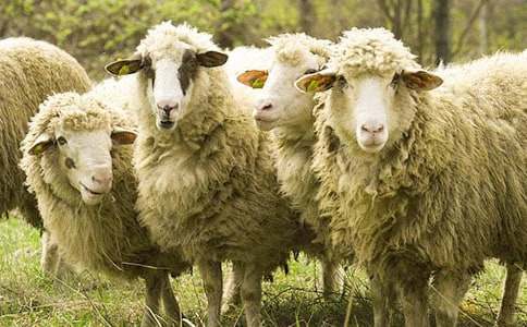 ���cС�d���ͯԒ����