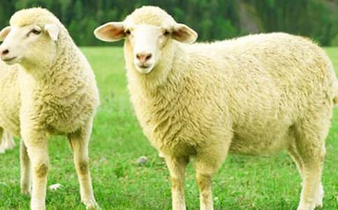 ����С�d������300��