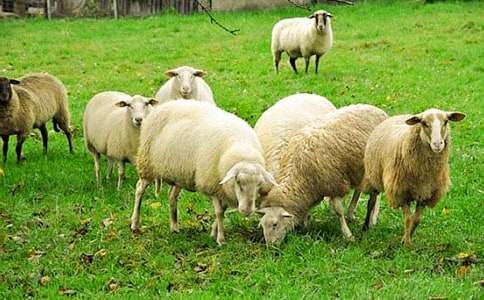 С�d�������˵�С���L���̰�