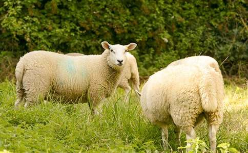 ��(l��)�����˵�С�d������700��