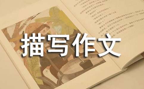 �����茑(xi��)����ʾ��