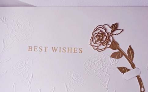 ��ܰ������Ƭ���Z(y��)230��