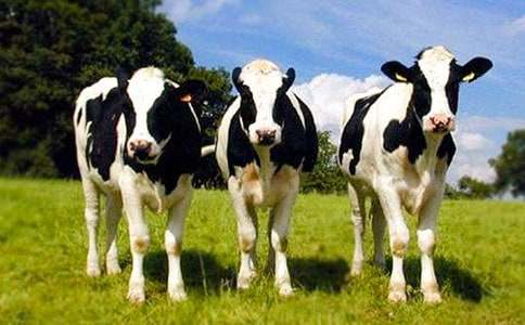 �����c��ţ�̌W(xu��)�O(sh��)Ӌ(j��)