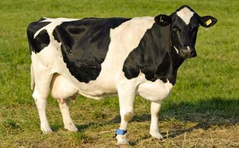 ��ţ��؈��Ԣ�Թ���