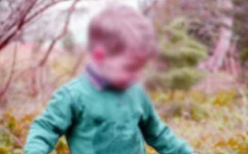 一本獻(xiàn)給男孩的書作文