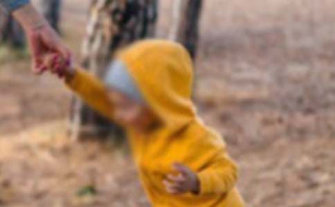 �(y��ng)���к����ģ�ͨ��24ƪ��