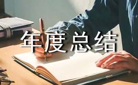 稅務(wù)稽查工作個(gè)人年度總結(jié)(精選10篇)