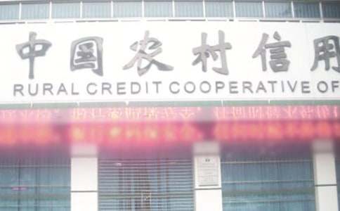 農(nóng)村信用社個(gè)人年終工作總結(jié)5篇