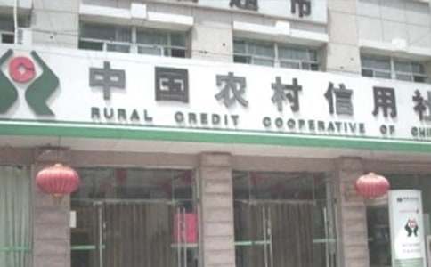 農(nóng)村信用社個人總結(jié)