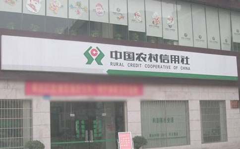 農(nóng)村信用社實習(xí)報告(精選16篇)