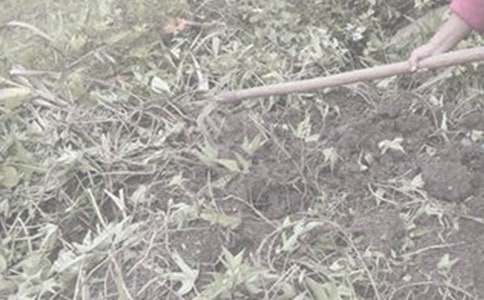 ��һ�θ��r(n��ng)�����ģ����x13ƪ��