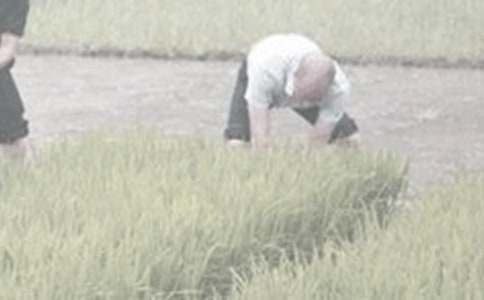 ��ٸ��r(n��ng)�����ģ�ͨ��30ƪ��