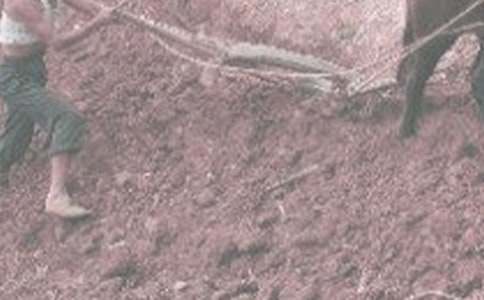 ���r(n��ng)������300�֣����x18ƪ��