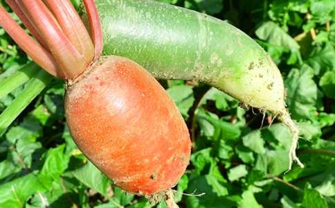 �r(n��ng)�Ҙ��߄�����