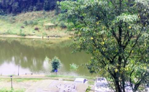 �r(n��ng)�Ҙ�����1000��