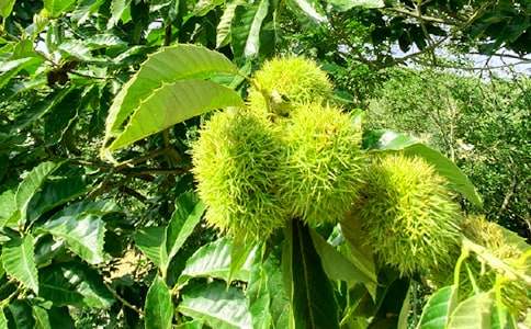 һ�ο옷���r�Ҙ�����