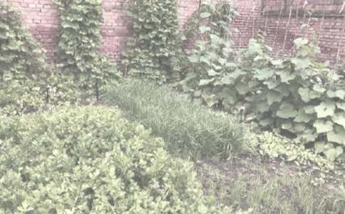 ������r(n��ng)��������