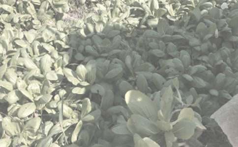 ���]���r(n��ng)����N���I�u��ͬ