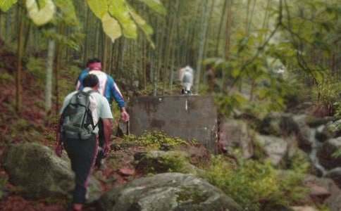 ��ɽ֮�y��������