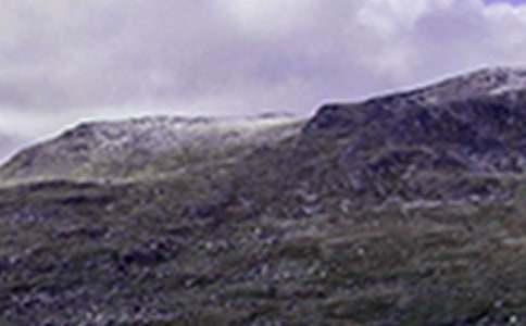 部編版爬山虎的腳教學(xué)設(shè)計(通用11篇)