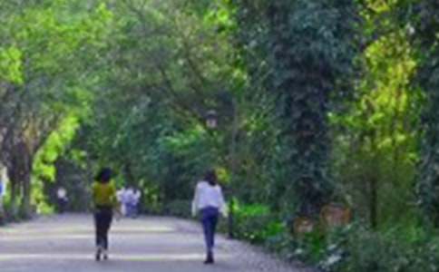 �������ģ���ɽ