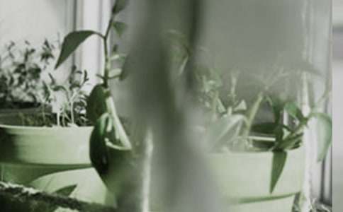 �ҵ�С��������