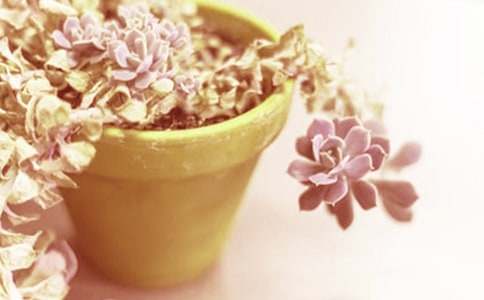 ��������400��4ƪ