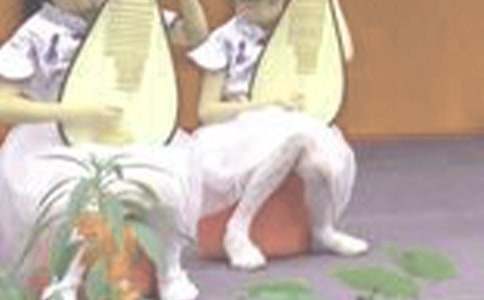 ��������400��6ƪ