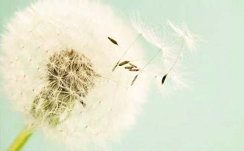 �ѹ�Ӣ����ȥ׷����(m��ng)������