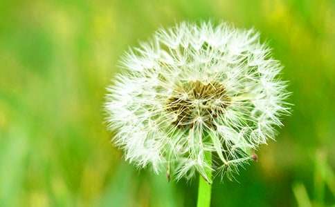 �ѹ�Ӣ�ĉ��������